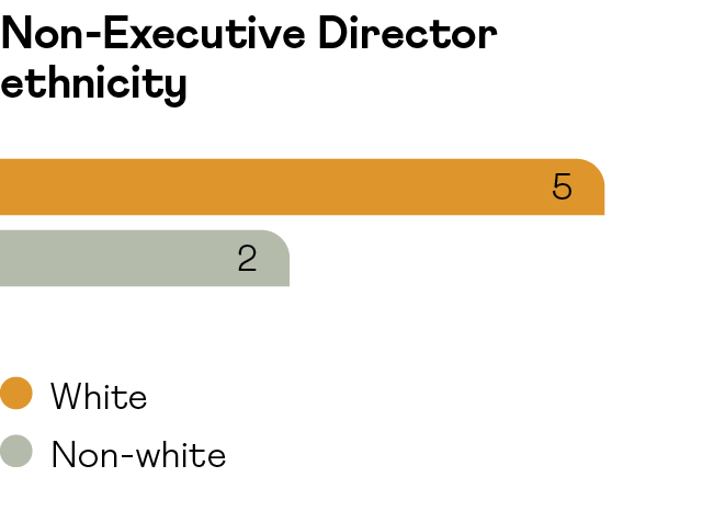 Savannah_AR24_p83_ethnicity.png