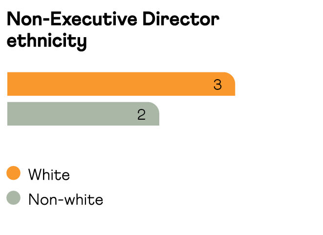 Savannah_AR24_p83_ethnicity.png