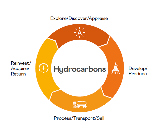 Hydrocarbons business model.png